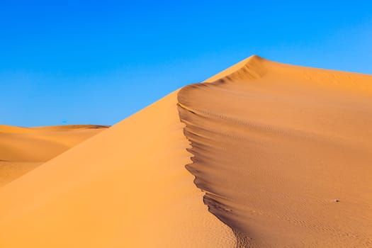 beautiful sand dune in sunrise in the desert