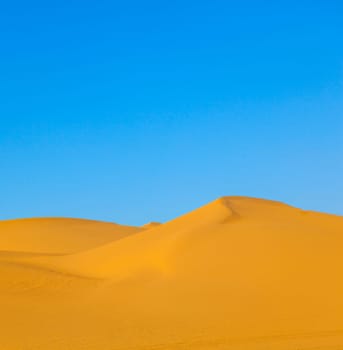beautiful sand dune in sunrise in the desert