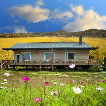 Beautiful small house with paddy around it