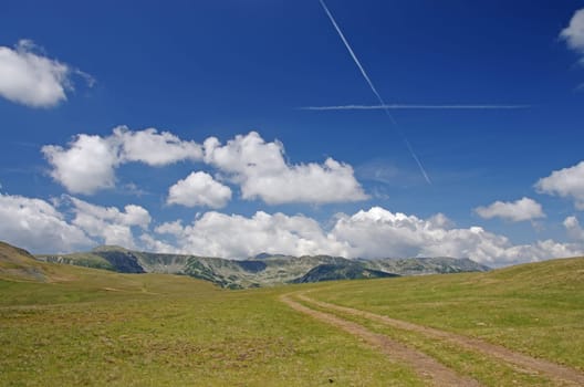Summer meadow in Parang mountains, Romanian Carpathians