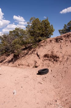 Old car tire in nature