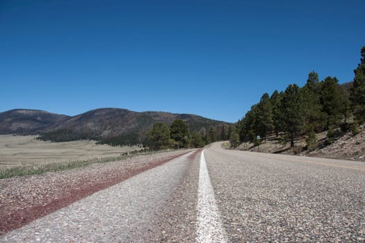 Highway through forest from a low angle