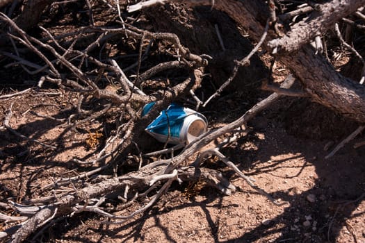 Old beverage can hanging in a tree