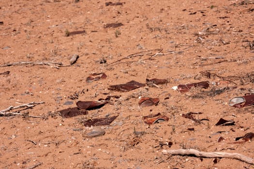 Rusty cans in the desert floor