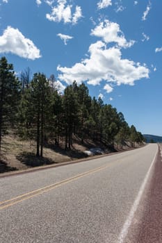 Highway through forest from a low angle
