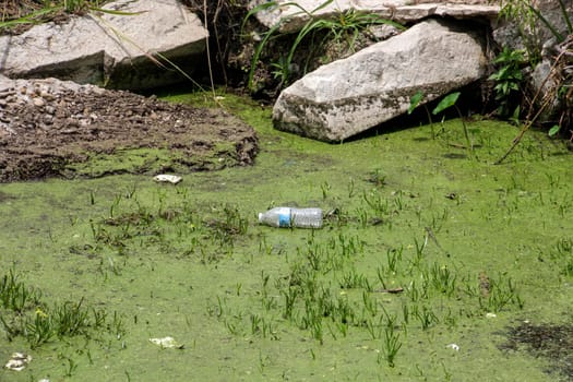 Plastic bottle floating in the sea