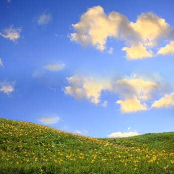 Spring landscape for adv or others purpose use