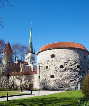 Tower Thick Margarita, Tallinn