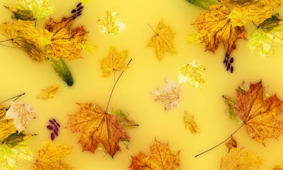 The autumn fallen down leaves