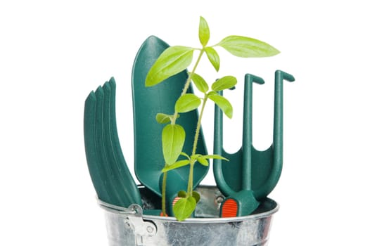 Garden tools, it is isolated on white