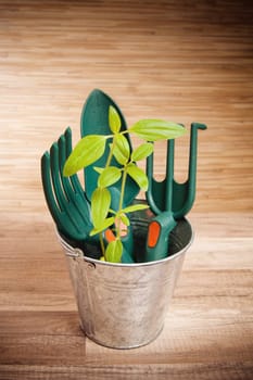 Fresh herbs with gardening tools