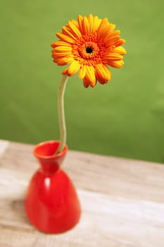 summer flowers bouquet in a vase, close-up