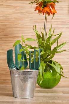 Fresh herbs with gardening tools