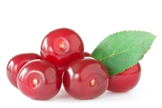red cherries with a green leaf on white background