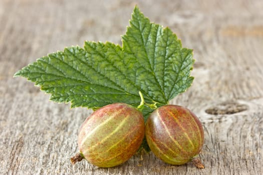 gooseberries with leaf on the  wooden background