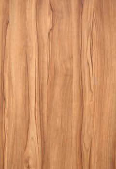 texture of wood