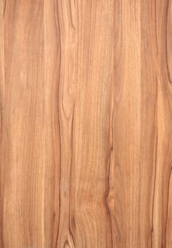 texture of wood