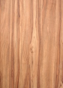 texture of wood