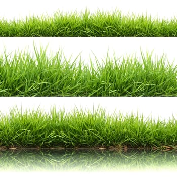 3 style fresh spring green grass isolated on white background