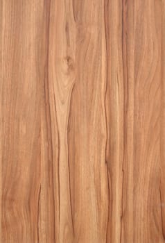 texture of wood