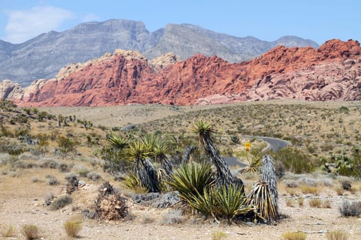 Red rock canyon, Nevada, USA