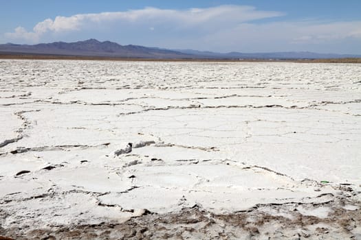 Salt flat near Mojave desert, USA