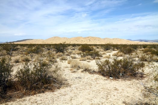 The Mojave Desert located at southeastern California, southern Nevada, southwestern Utah and northwestern Arizona.
