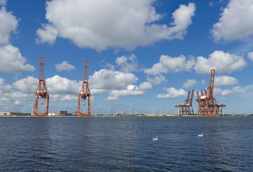 harbor cranes in amsterdam harbor