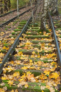 Autumn leaves between unused train tracks