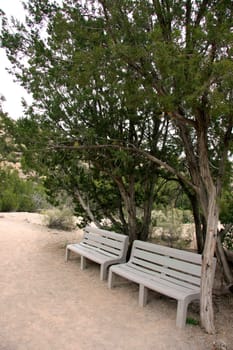 Break under trees in the desert