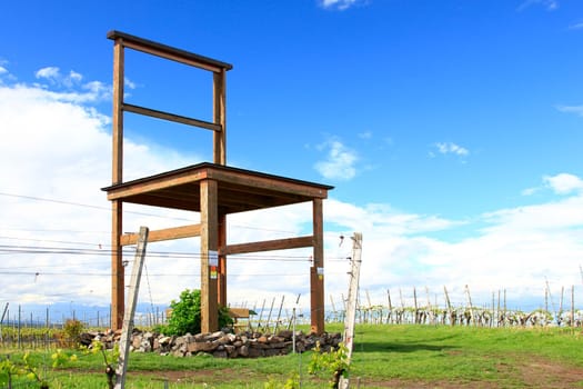 Wein-growing region Kaiserstuhl,Baden-Württemberg,Germany