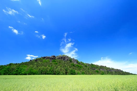 The Pope's Stone in the Saxon Elbe Sandstone Mountains under a blue sky over an already withered rapeseed field ("Saxon Switzerland"")"