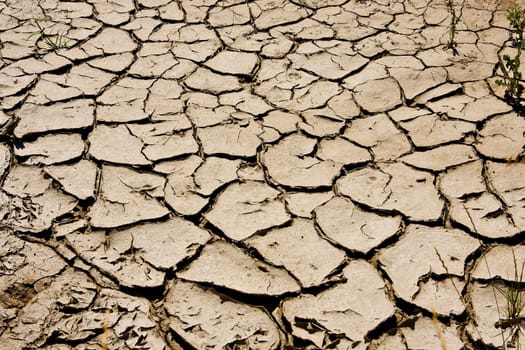 Detail photo of dried, cracked mud