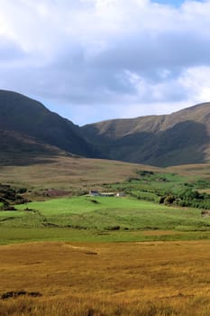 scenic view in kerry ireland of rural farm with sheep dotted in the irish countryside