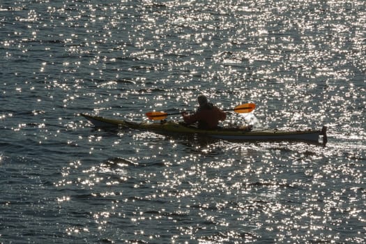 Paddlers in the backlight on the Glienicke Lake