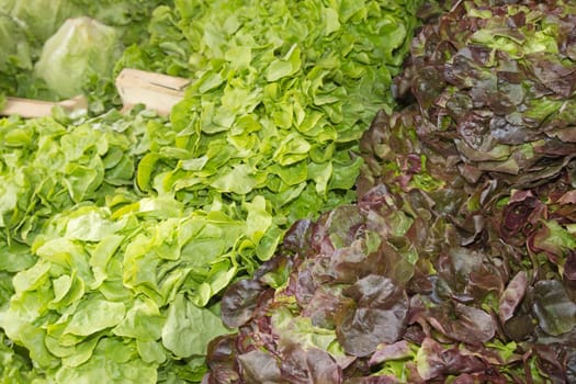 Various kinds of salad  prepared to sell at a farmer's market.(Provence, France)