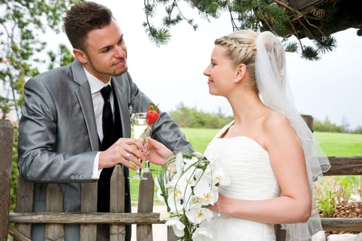 Pretty bride and groom celebrate their wedding
