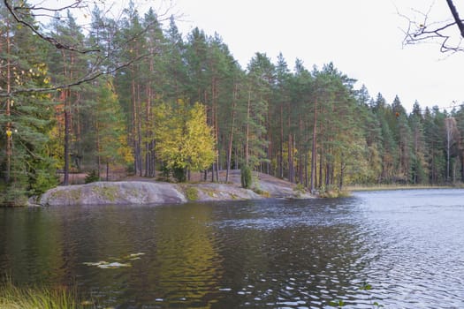 Noux national park during the autumn months in Finland, forest, clean ecology.