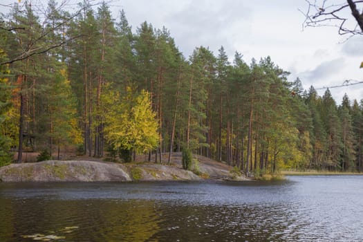 Noux national park during the autumn months in Finland, forest, clean ecology.