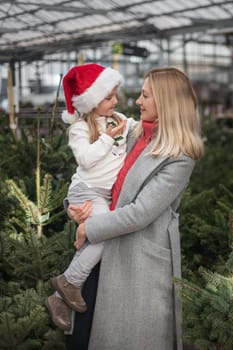 Mother and daughter choose a Christmas tree at a market.