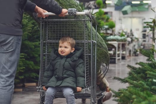 Father and son choose a Christmas tree in the market.