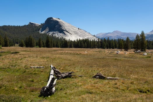 Yosemite national park in California - USA