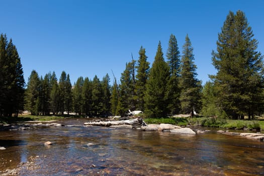 Yosemite national park in California - USA