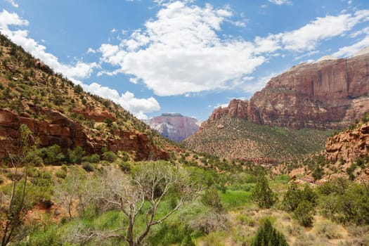Zion Park in Utah, USA