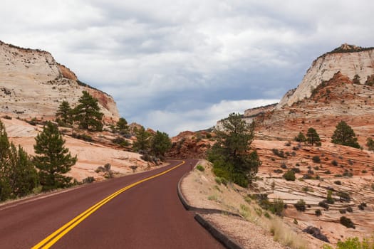 Road through Zion Park in Utah, USA