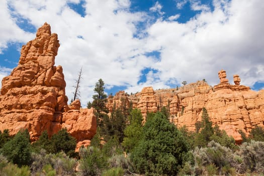 Red rock canyon in Utah - USA