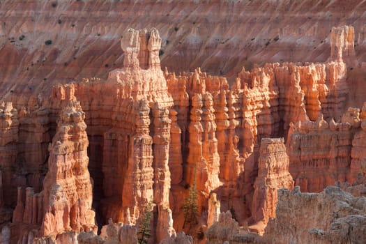 Bryce canyon national park in Utah  - USA