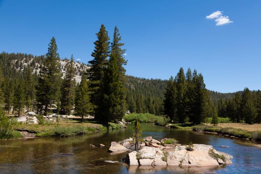 Yosemite national park in California - USA