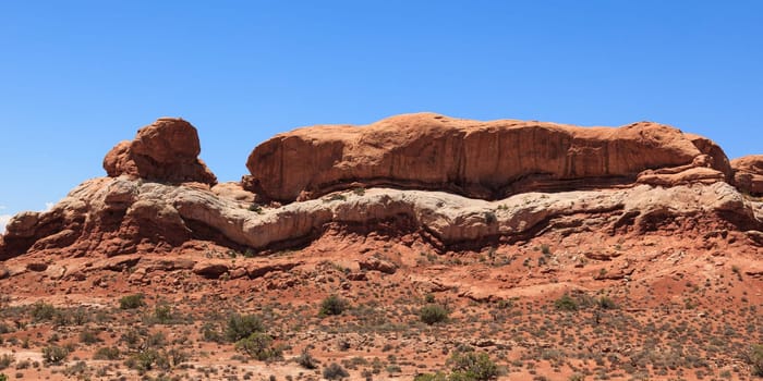 Arches national park in Utah  - USA