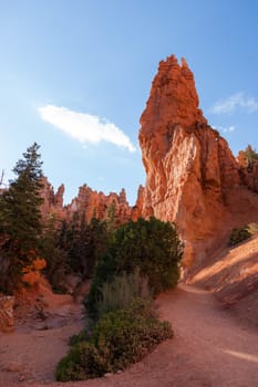 Bryce canyon national park in Utah  - USA